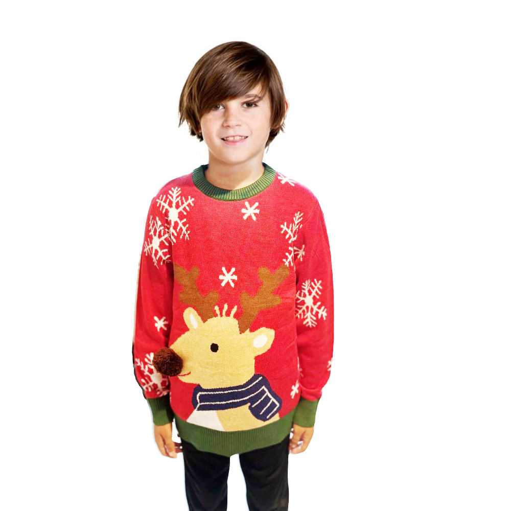 Boy Reindeer Sweater With a Pompom