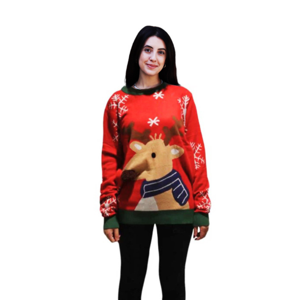 Reindeer Sweater With a Pompom